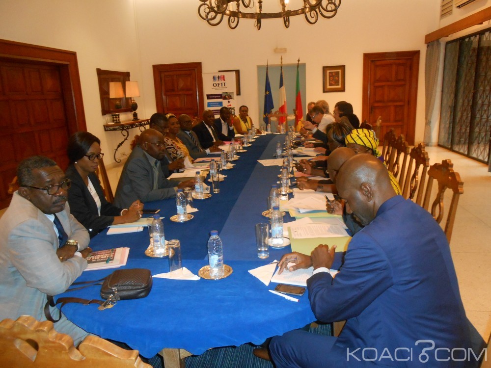 Cameroun-France: Réinsertion des migrants camerounais, l'OFII valide 12 projets sur  14