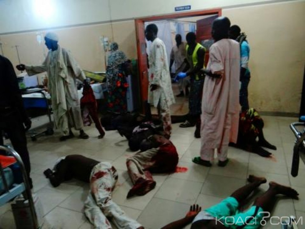 Nigeria:  35 personnes meurent du choléra dans le nord- est