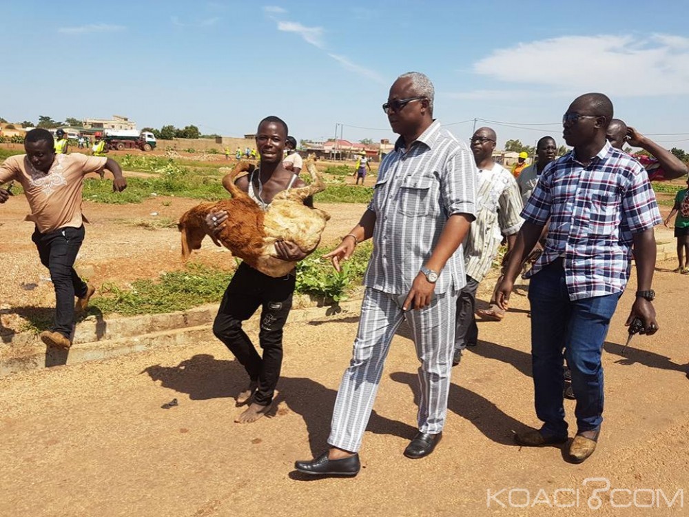 Burkina Faso: Plusieurs centaines d'animaux saisis lors d'une opération de lutte contre la divagation
