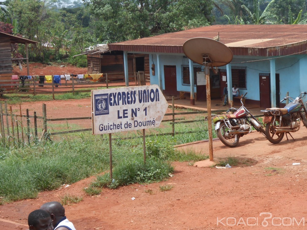 Cameroun: Une entreprise forestière française attaquée par des rebelles centrafricains à  l'Est du Cameroun