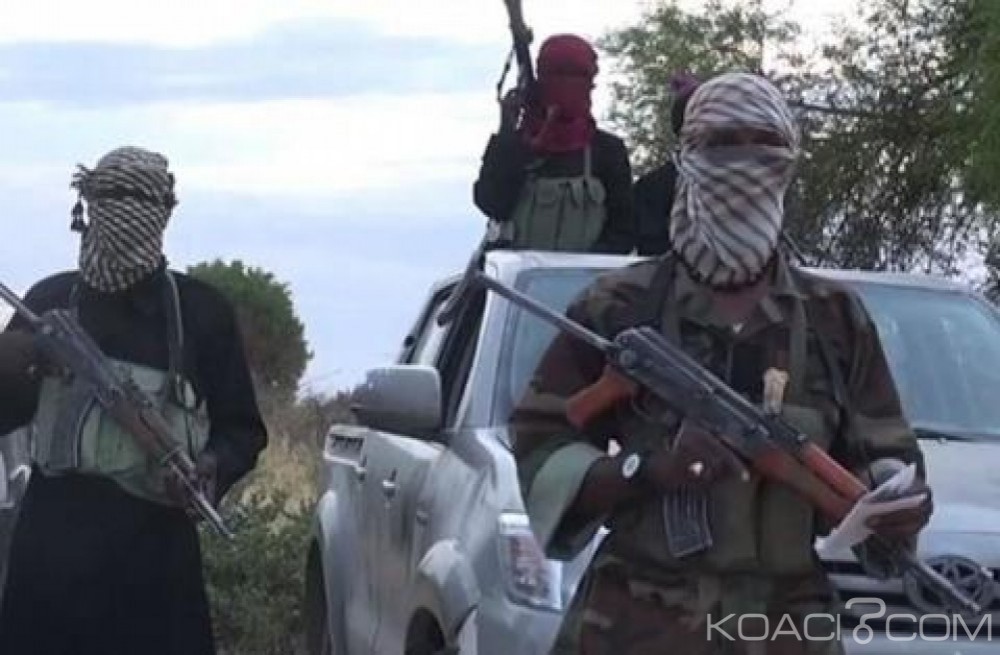 Nigeria: Neuf villageois  tués à  l'arme blanche par Boko Haram  dans l'extrême nord