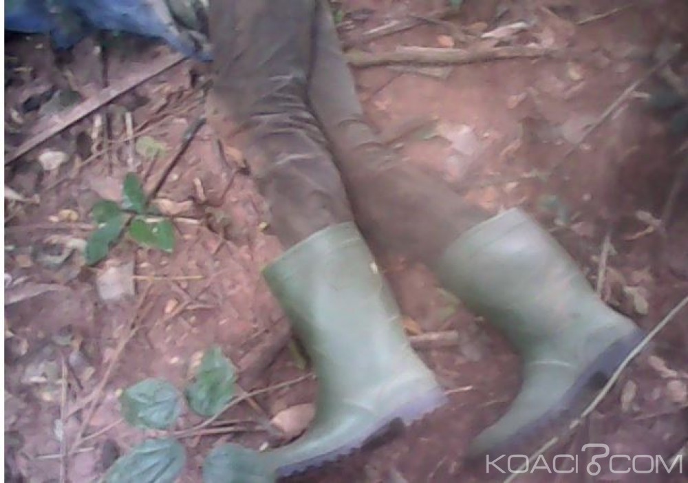 Côte d'Ivoire: Pris pour une «Mangouste», un jeune ouvrier agricole abattu par un chasseur
