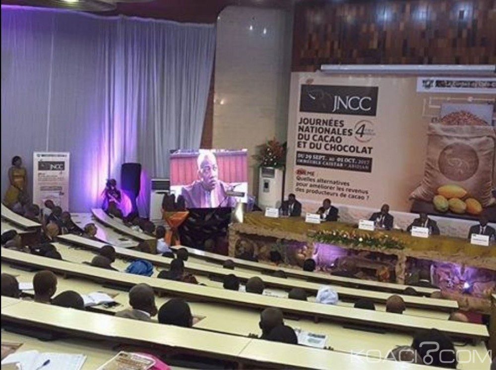 Côte d'Ivoire: Un audit en cours sur le système de commercialisation du café-cacao est en cours, le rapport provisoire remis au gouvernement