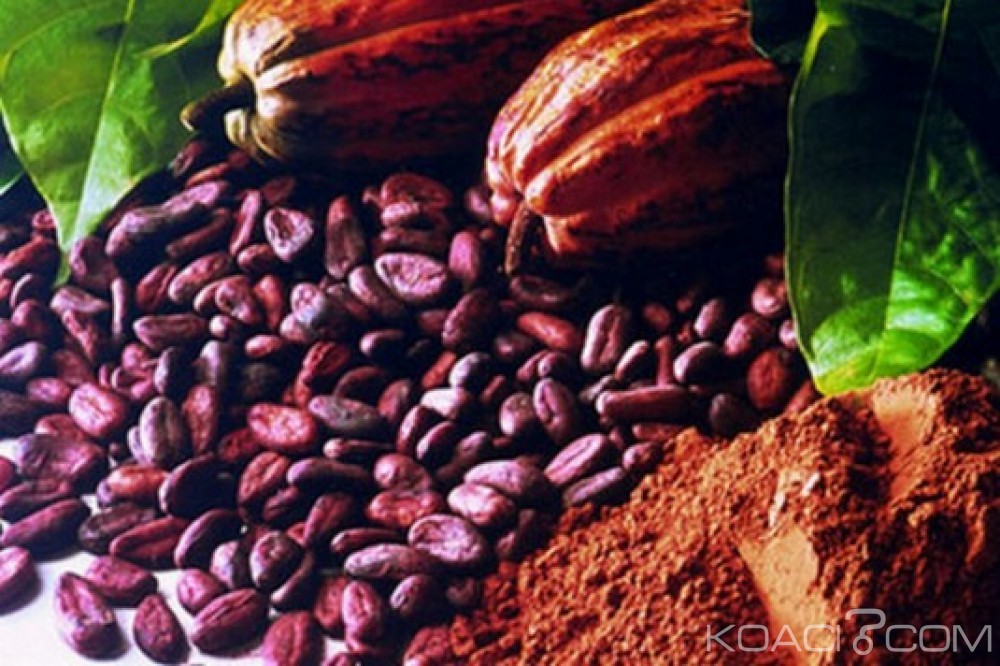 Ghana-Côte d'Ivoire: Akufo-Addo annonce une politique commune pour la vente du cacao sur le marché international