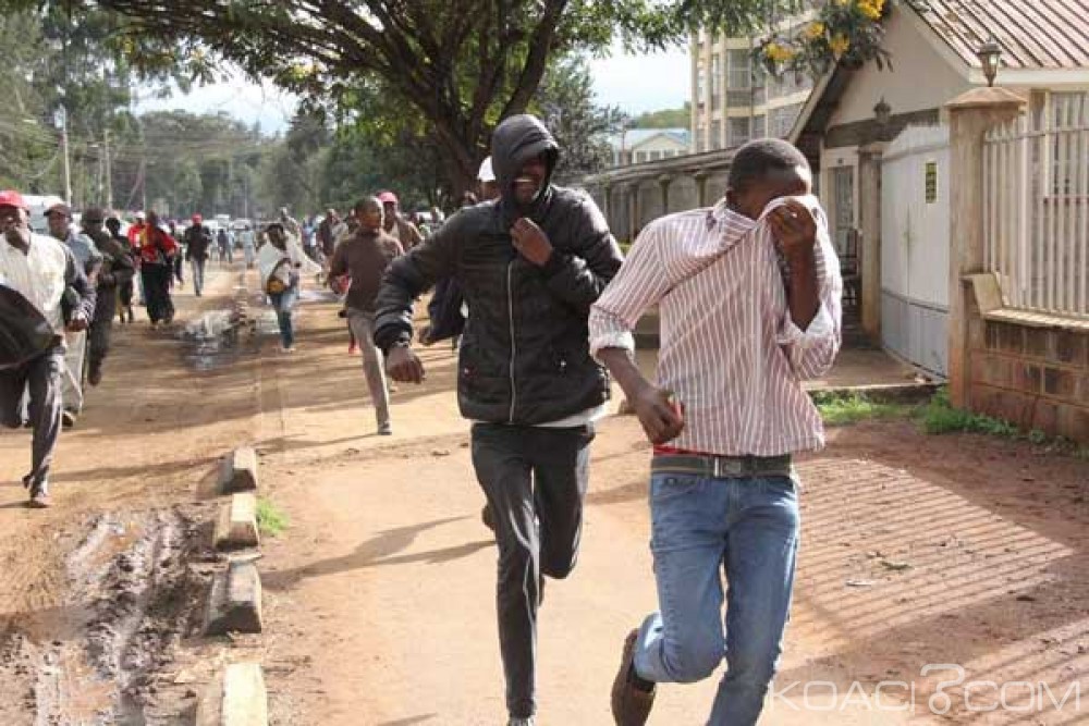 Kenya: Des abeilles s'invitent à  un meeting  de soutien à  Kenyatta