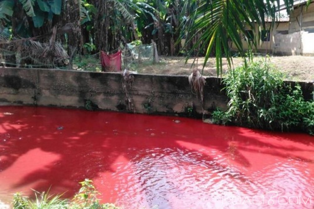 Ghana:  Une rivière tourne au rouge à  Koforidua