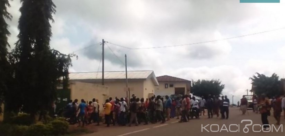 Côte d'Ivoire: Les paysans annulent leur marche de protestation contre le prix du cacao, la raison