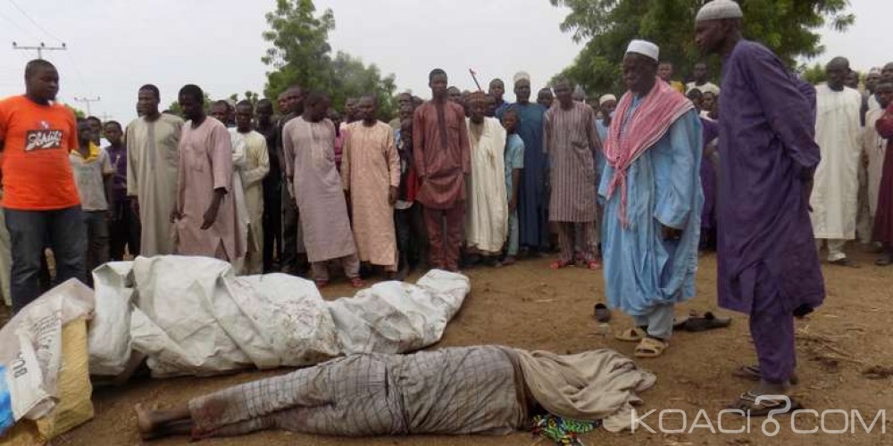 Nigeria:  Cinq morts au moins dans  une attaque suicide de Boko Haram