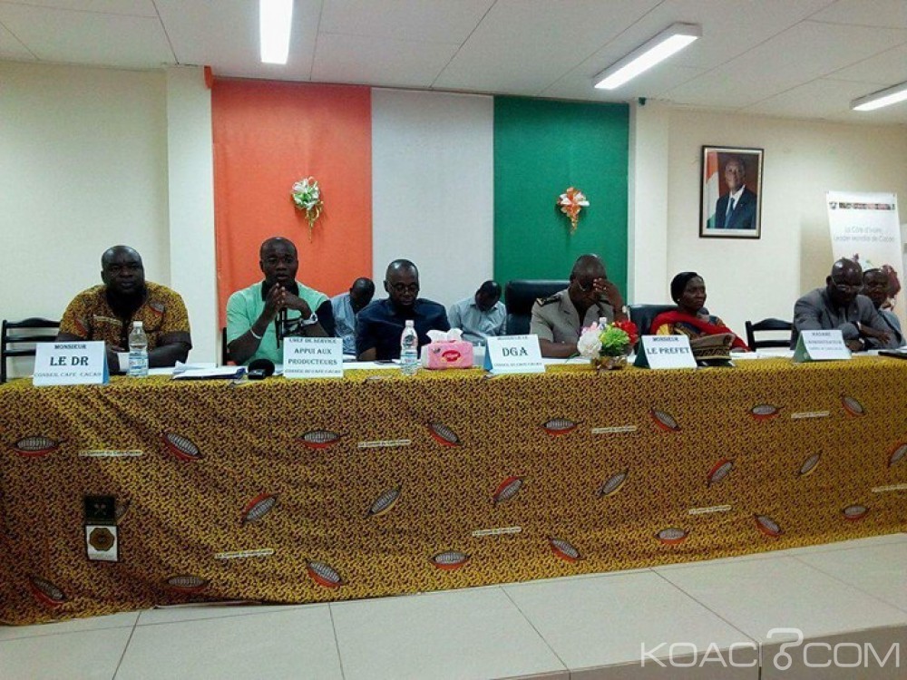 Côte d'Ivoire: Daloa, lancement de la campagne café-cacao, prix bord champ à  700 F CFA, le CCC prévient: « Le non-respect de ces prix peut entraîner des sanctions graves »