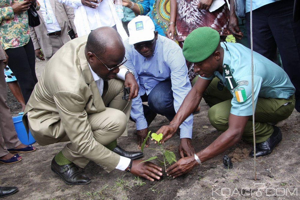 Côte d'Ivoire: Adzopé, Donwahi s'imprègne des réalités de l'Unité de gestion et de conservation des semences forestières