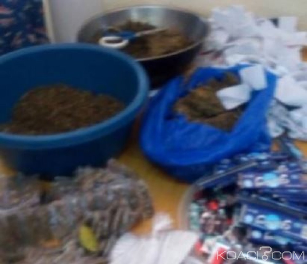 Côte d'Ivoire : Opération Epervier 3, fumoir brûlé, une baronne de la drogue mise aux arrêts à  Touba