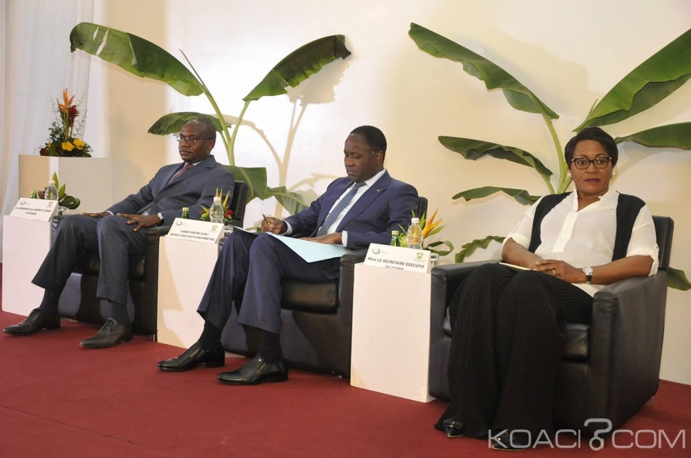 Côte d'Ivoire:  Restitution des travaux du Comité scientifique de la 4ème édition des rencontres sectorielles, Sangafowa rassure les acteurs du secteur agricole