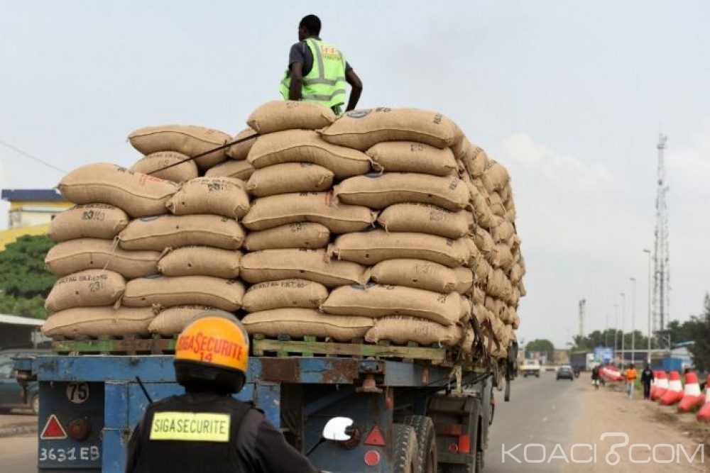 Côte d'Ivoire: Fuite du cacao vers le Ghana, plus de trois tonnes de produits saisis