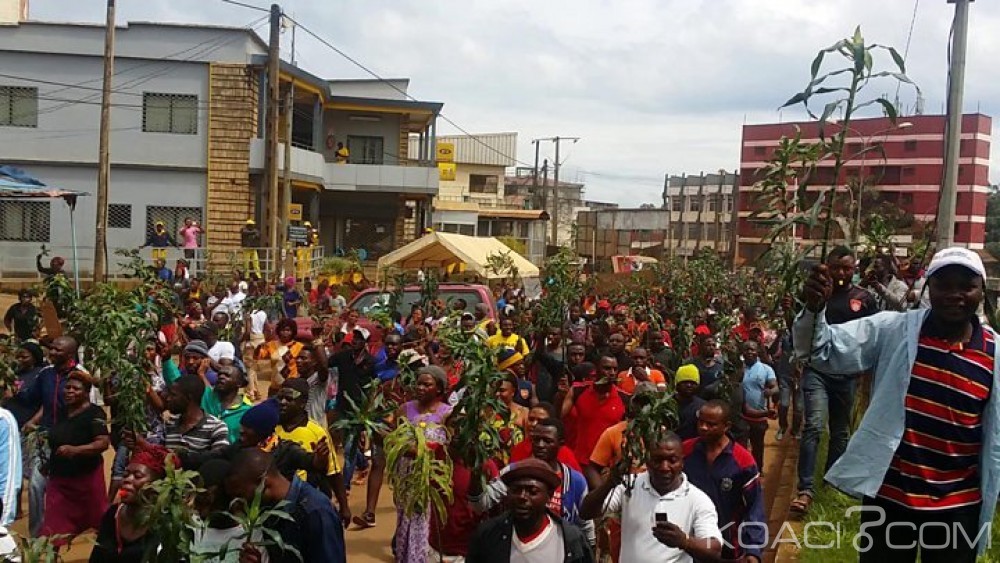 Cameroun: Cacophonie dans la crise anglophone, trois camps s'affrontent désormais par arguments interposés