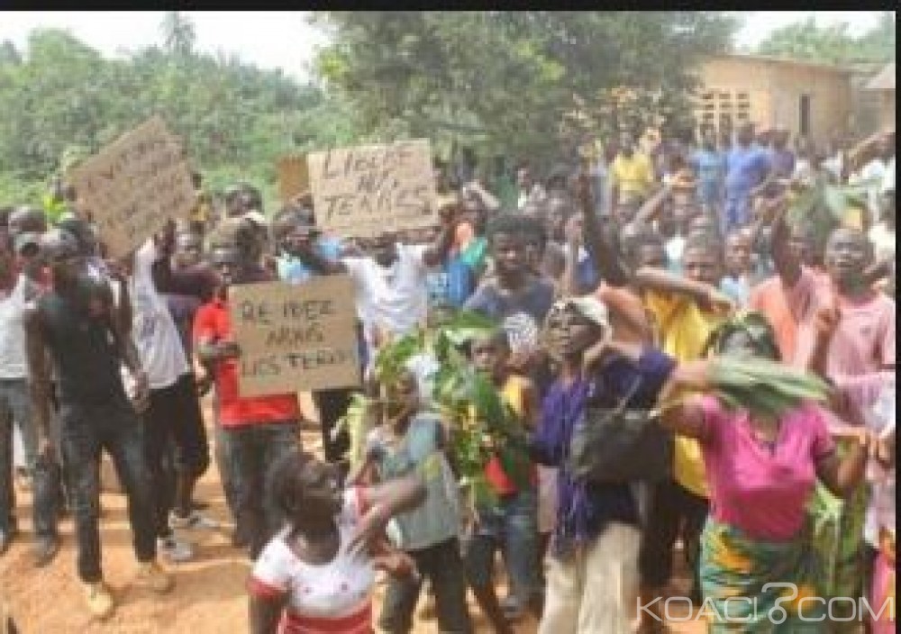 Côte d'Ivoire: La paix des braves entre Guéré  et Baoulé ? La question de l'occupation illégale  des forêts classées demeure