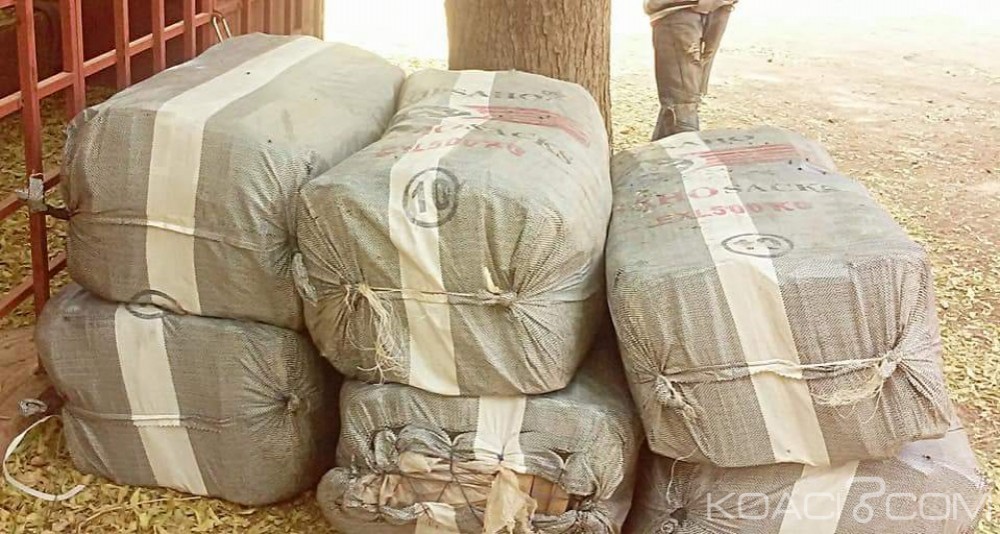 Burkina Faso: 600 carcasses de poulets de chair saisis par la police