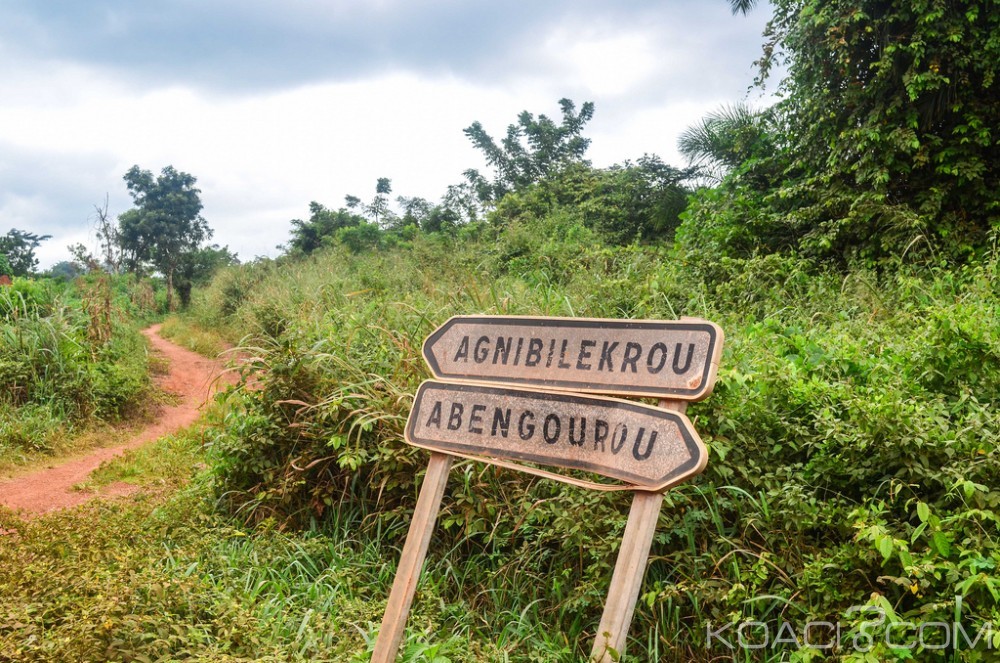 Côte d'Ivoire: Suspecté de vendre son cacao au Ghana, un jeune producteur abattu à  l'est par un militaire, colère et indignation des populations