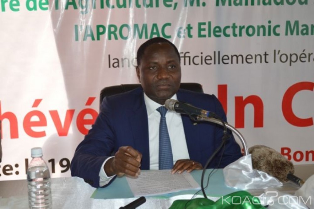 Côte d'Ivoire: SARA 2017, les hévéaculteurs du FISH annoncent leurs produits Sawa