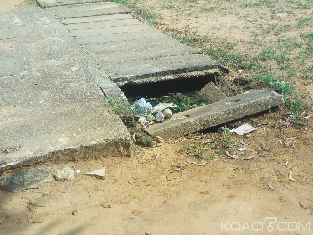 Côte d'Ivoire:  Plateau, les établissements scolaires publics à  l'abandon, une Fondation annonce la réhabilitation d'une école