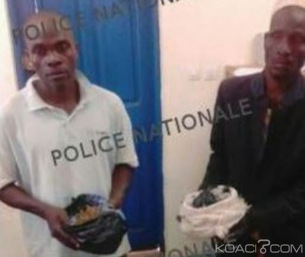 Côte d'Ivoire: Fofana et Bakayoko avaient pour profession  «cultivateurs de cannabis»