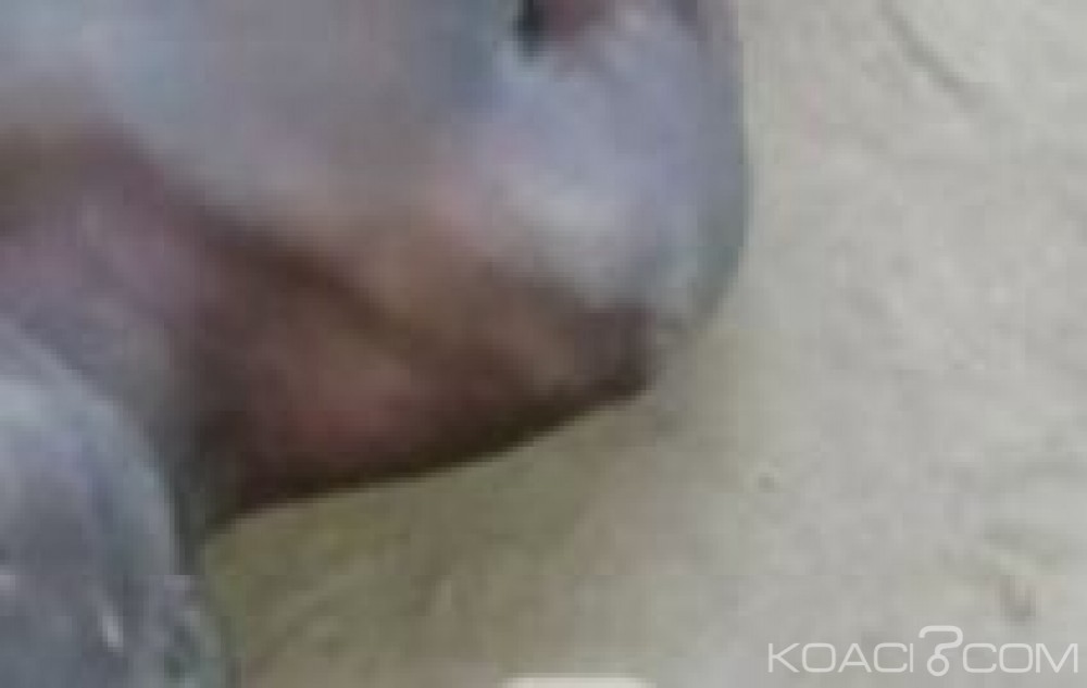 Côte d'Ivoire: Un jeune homme criblé de balles à  Abobo