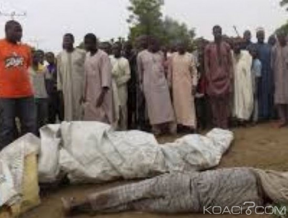Nigeria: Maiduguri, six agriculteurs massacrés par des combattants de Boko Haram