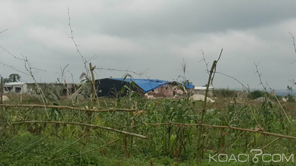 Côte d'Ivoire: Abobo, découverte de deux corps nus tailladés à  la machette