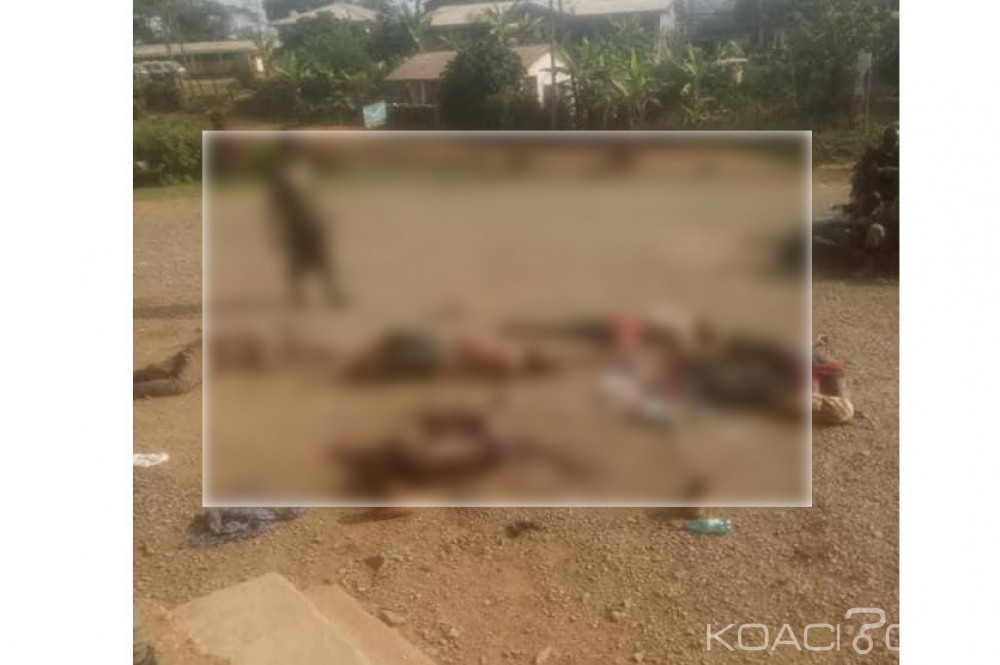 Cameroun: Au moins dix terroristes présumés abattus par l'armée dans des combats