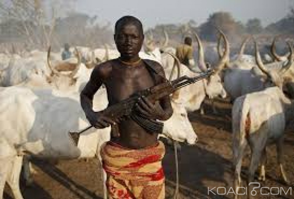 Soudan du Sud: Deux clans rivaux s'entretuent pour du bétail, 60 morts et des dizaines de blessés