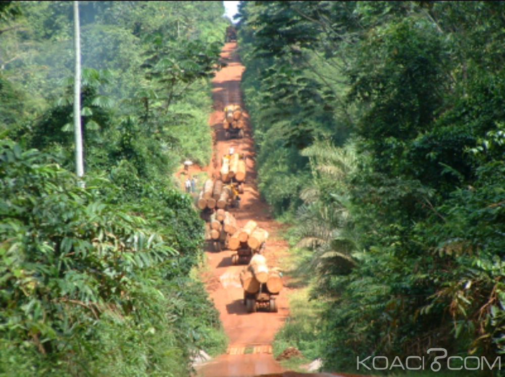 Cameroun: Gouvernance foncière, la tripartite gouvernement, parlement et société civile se poursuit