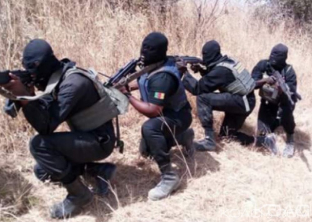 Cameroun: 4 sécessionnistes présumés tués lors des combats par l'armée