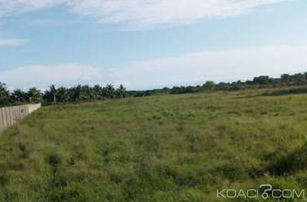 Côte d'Ivoire: Plus de 36 hectares déclarés d'utilité publique pour la construction de centres hospitalier, culturel et éducatif