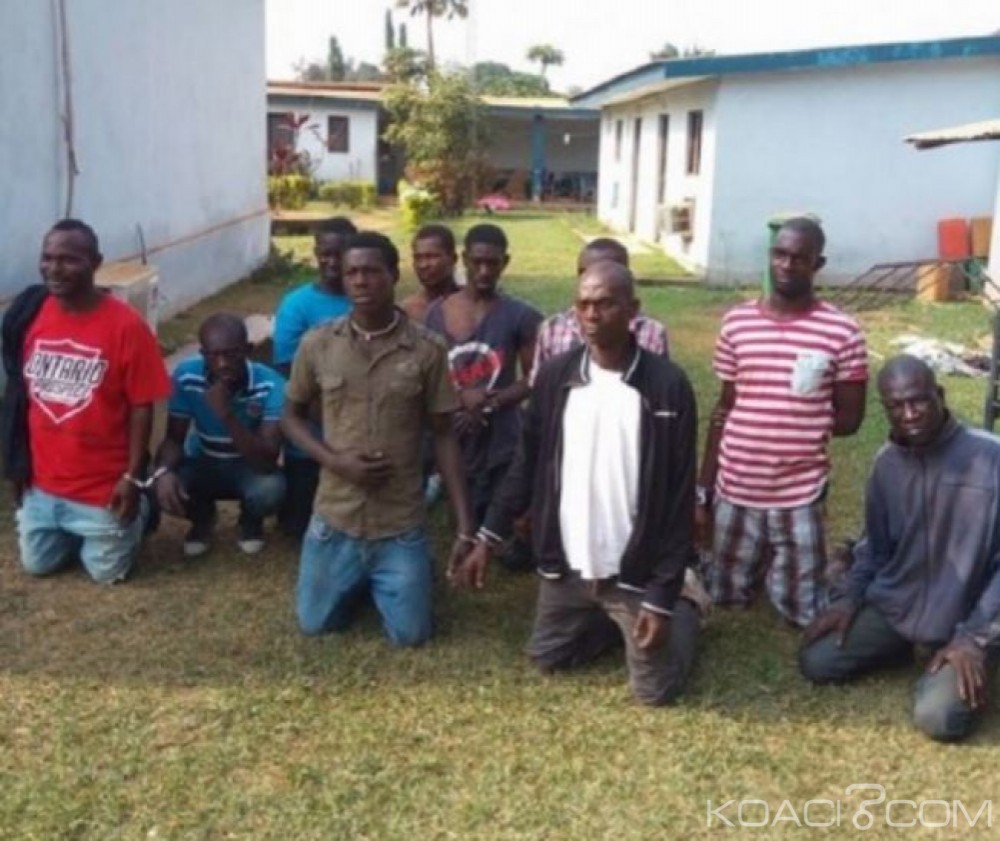 Côte d'Ivoire: Divo, un géant fumoir détruit, une dizaine de personnes interpellées