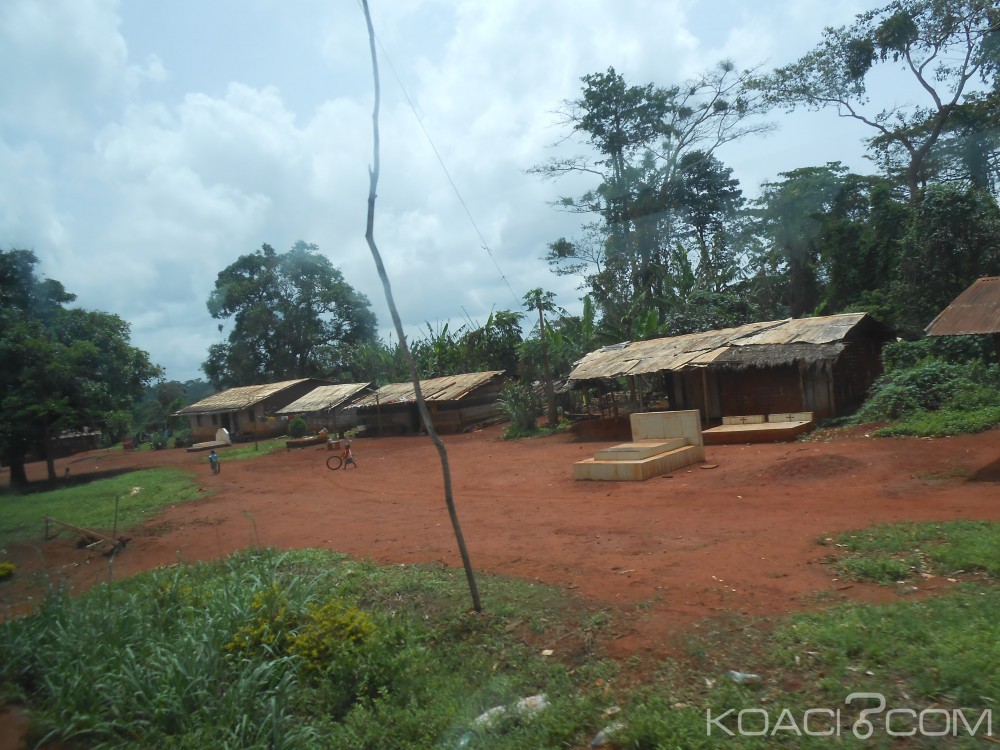 Cameroun: Crise anglophone, environ 10 000 camerounais fuient vers le Nigéria, le Hcr inquiet