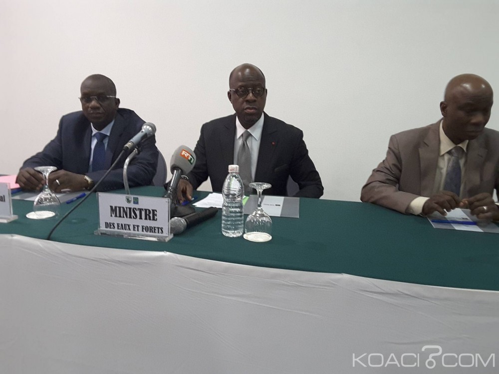 Côte d'Ivoire: Reconstitution des forêts, Alain-Richard Donwahi annonce la modification du Code forestier de 2014