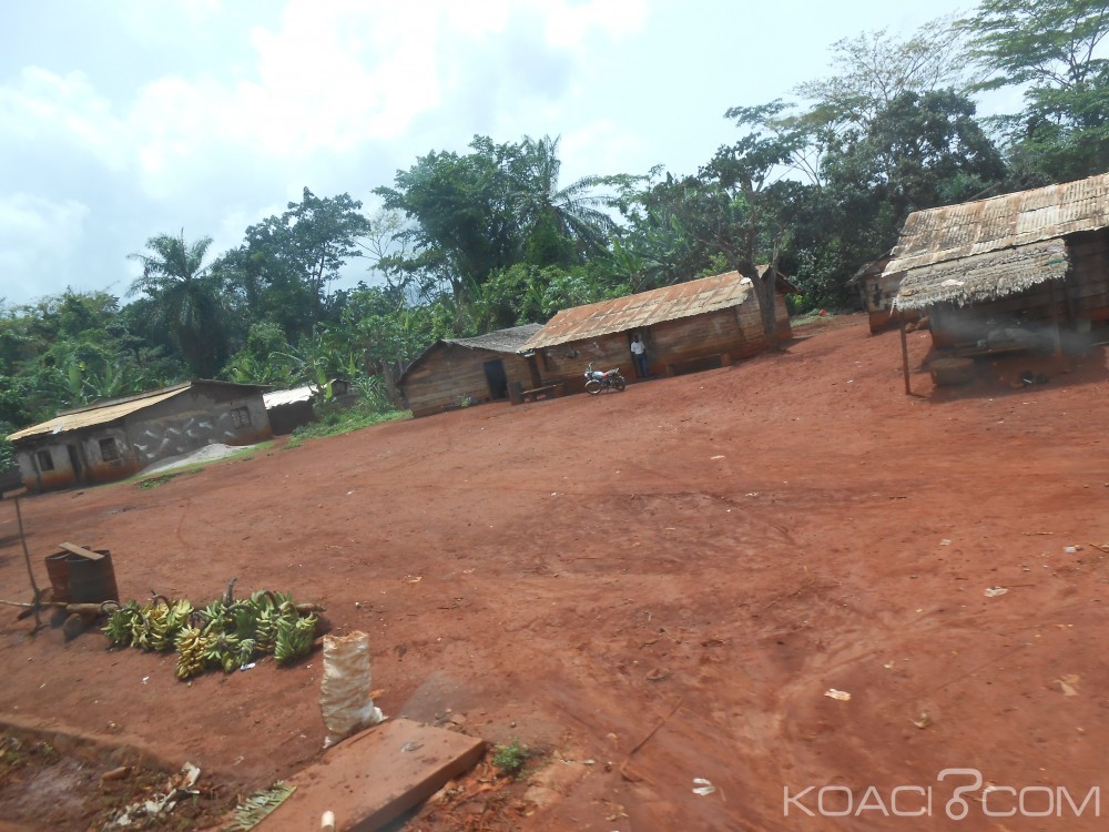 Cameroun: Tentative de coup d'Etat en Guinée Équatoriale, la chasse aux mercenaires se poursuit dans le Sud