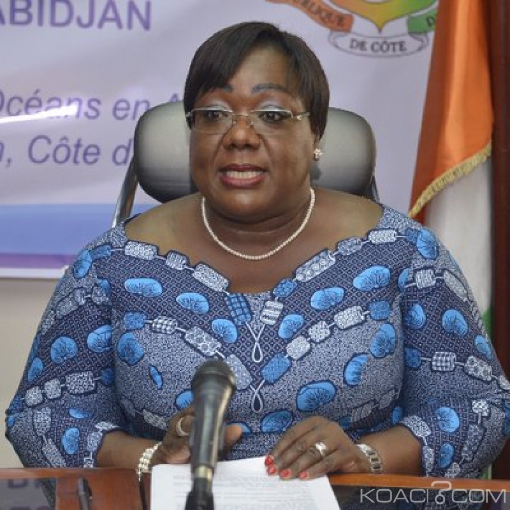 Côte d'Ivoire: Gestion des déchets dangereux, des pays africains prennent l'engagement de mettre en œuvre la Convention de Bamako
