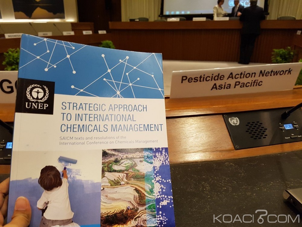 Côte d'Ivoire: Abidjan abrite une réunion régionale Afrique sur la gestion des produits chimiques