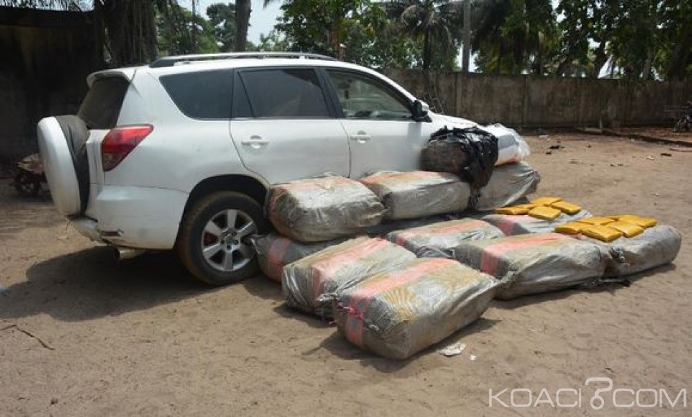 Côte d'Ivoire: Près d'une tonne de cannabis saisie par la gendarmerie dans un véhicule à  Grand-Bassam