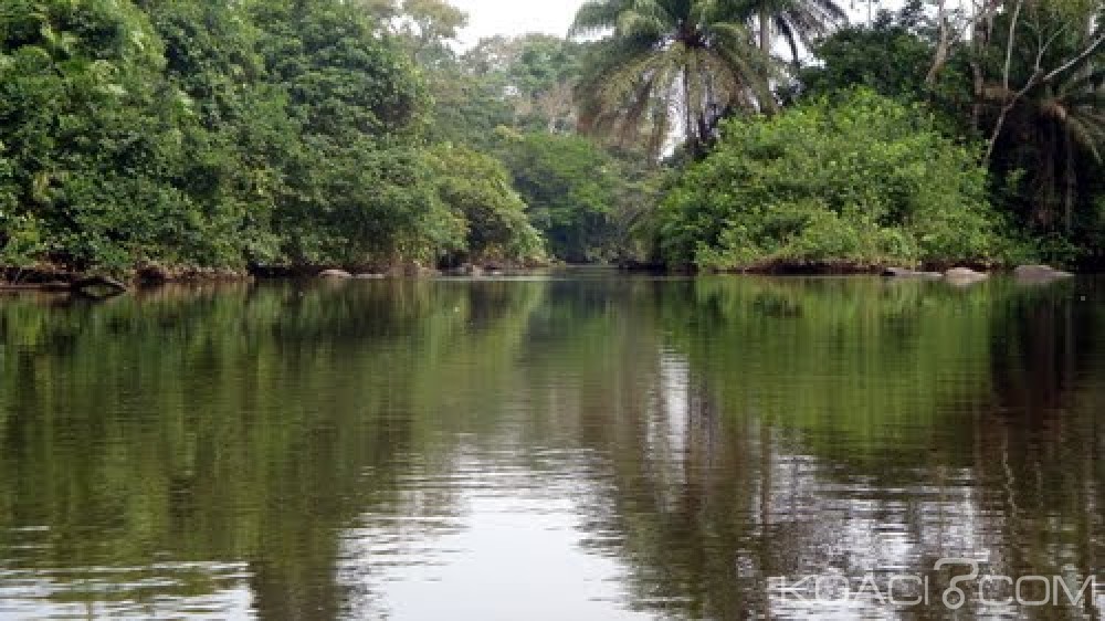 Côte d'Ivoire : Deux corps sans vie retrouvés dans les eaux du Comoé à  Bonoua