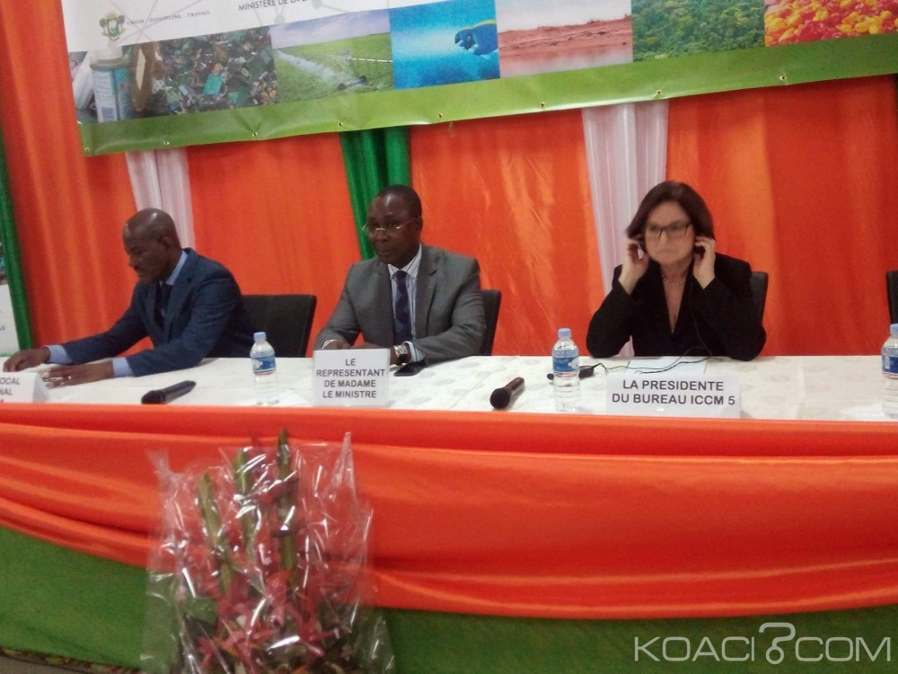 Côte d'Ivoire: Le SAICM engage les pays africains à  inclure la gestion des produits chimiques dans l'élaboration de leur budget
