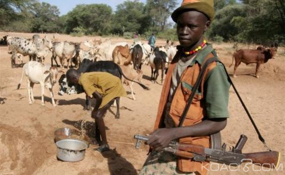 Nigeria: Trois agriculteurs abattus par des éleveurs  dans le centre
