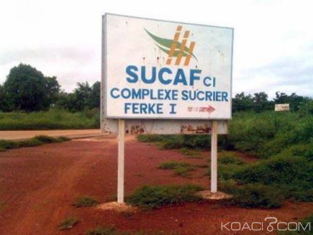 Côte d'Ivoire: Pourquoi un mécanisme d'approvisionnement en sucre des industries utilisatrices de la substance de saveur