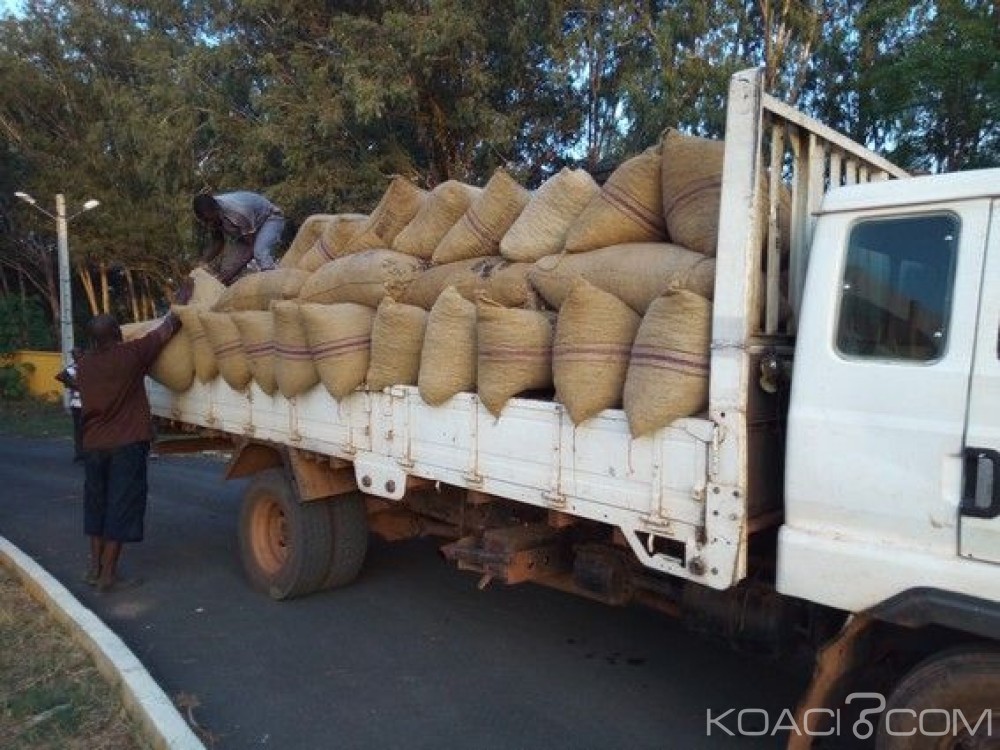 Côte d'Ivoire: Lutte contre la fuite des noix de cajou aux frontières, un véhicule de 8 tonnes saisi