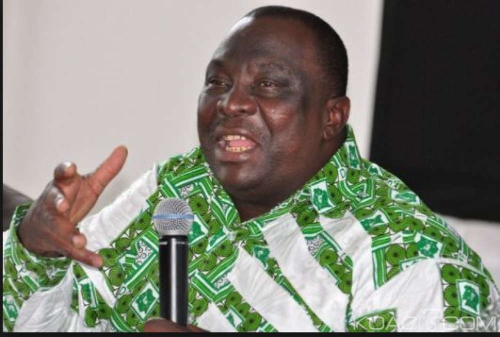 Côte d'Ivoire: Guéguerre au PDCI autour du  parti unifié, Adjoumani explique à  sa manière «l'appel de Daoukro»
