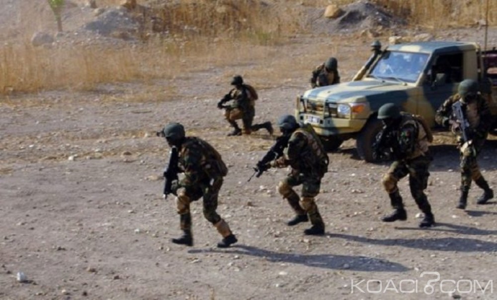 Cameroun: Interpellation de 31 présumés terroristes à  Kolofata