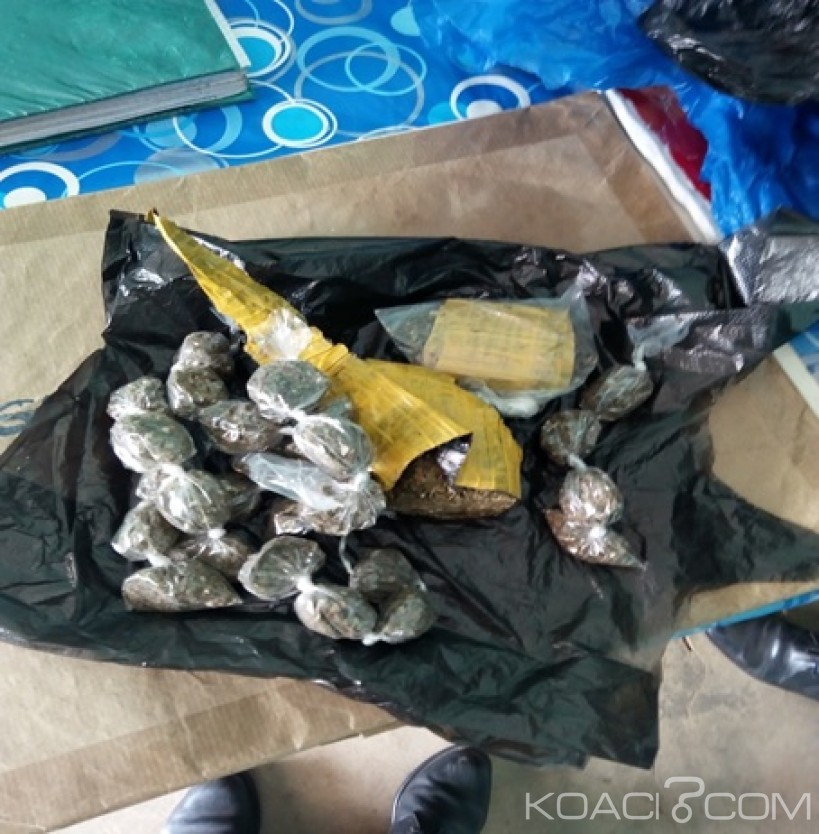 Côte d'Ivoire: Kani deux individus en possession de 26 boulettes de cannabis appréhendés