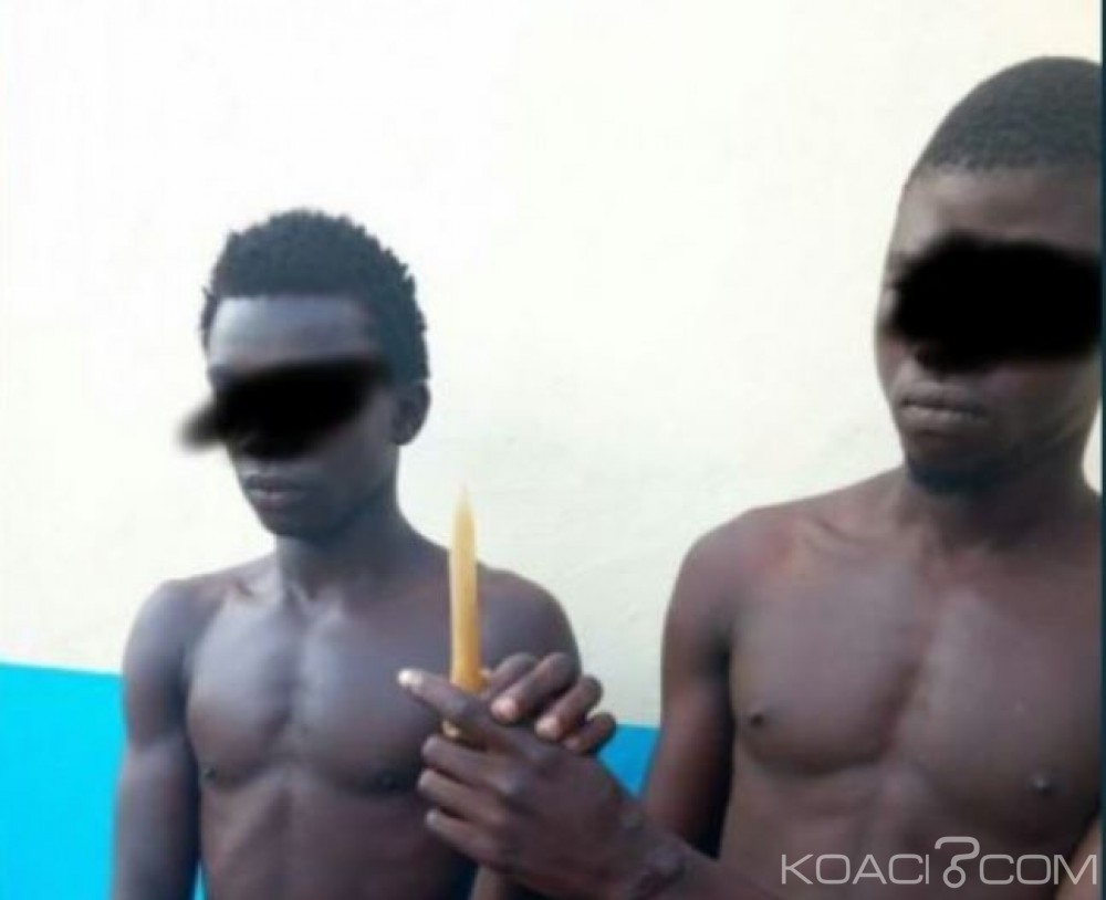 Côte d'Ivoire : Deux «microbes» interpellés en possession de machette et un os de panthère