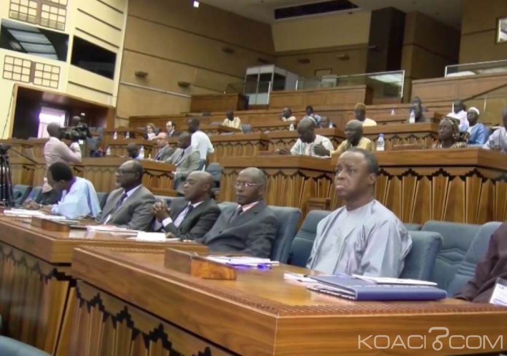 Côte d'Ivoire: La présidence de l'organisation des producteurs de pétrole africains confiée au Nigéria pour un an