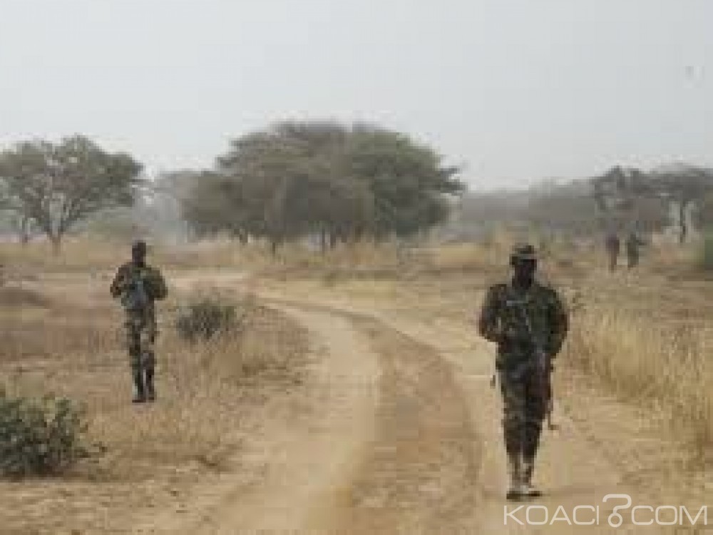 Niger: Un humanitaire  allemand kidnappé  par des hommes armés près d'Ayorou